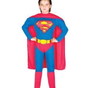 Super Homem - Luxo - Ref: 22050